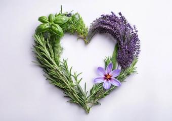 AI generated image of a heart shaped wreath containing herbs traditionally used as aphrodisiacs