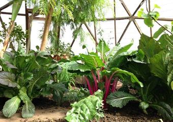 1922508_10152031296068201_960269086_n