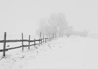 winter-20248_640