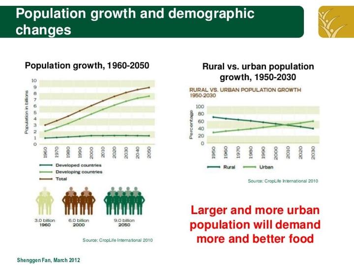 population growth chart