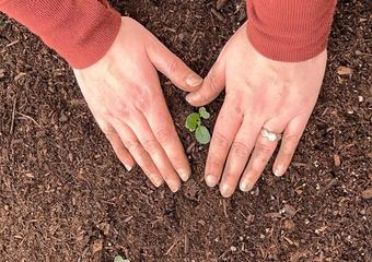 What About Farm-to-School for the Little Ones? image
