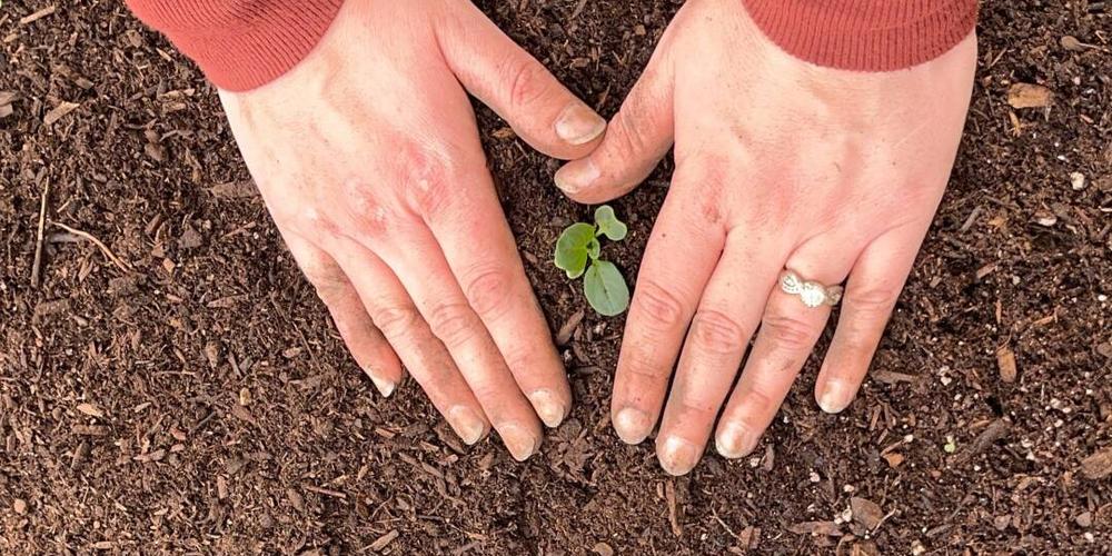 What About Farm-to-School for the Little Ones? image