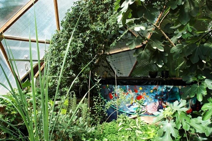 Vines, Fig, and Lemon Grass growing in a Growing Dome greenhouse