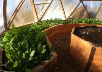 Celebrating Growth in the 15′ Growing Dome image