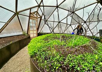 center bed in geodesic greenhouse with small greens and branches from deciduous tree that has lost its leaves for winter someone is hand watering in the background