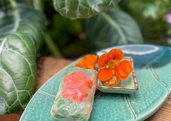 nasturtium_spring_roll