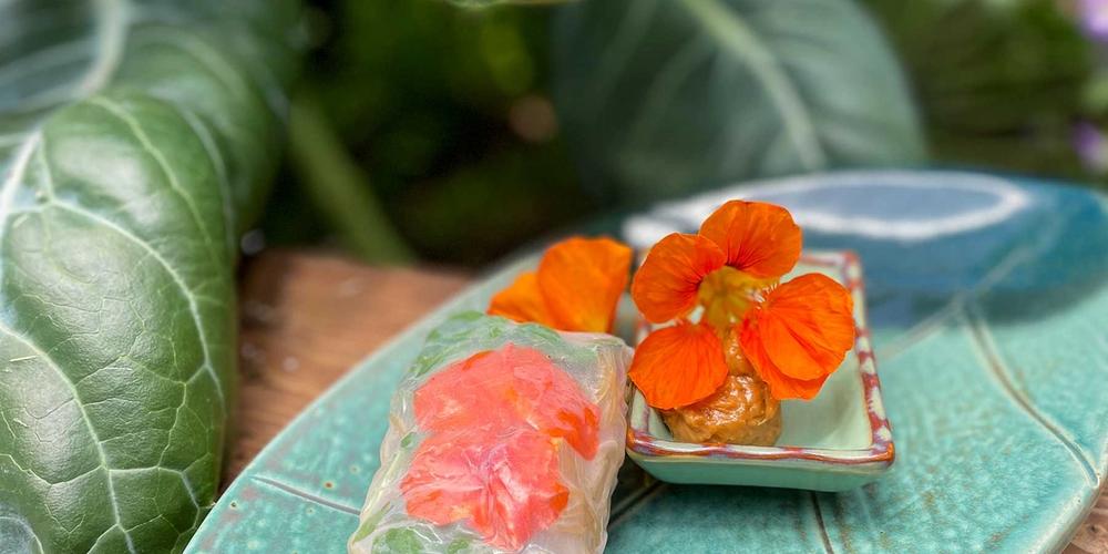 nasturtium_spring_roll