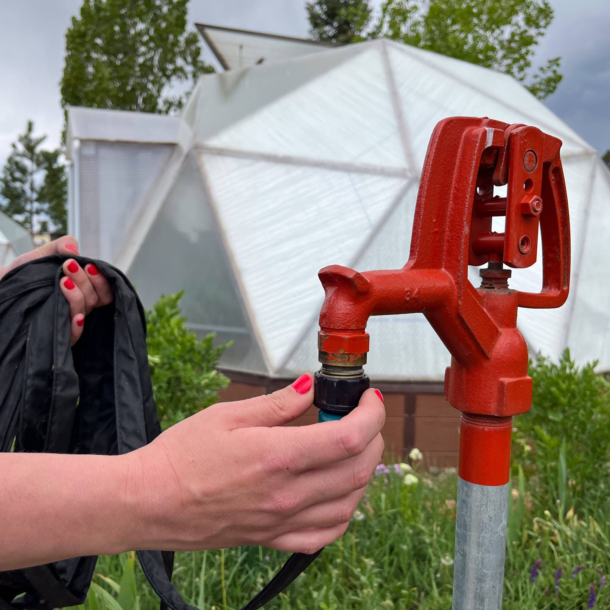 Watering best practices includes locating a spigot in close proximity to greenhouse, someone is attaching a hose