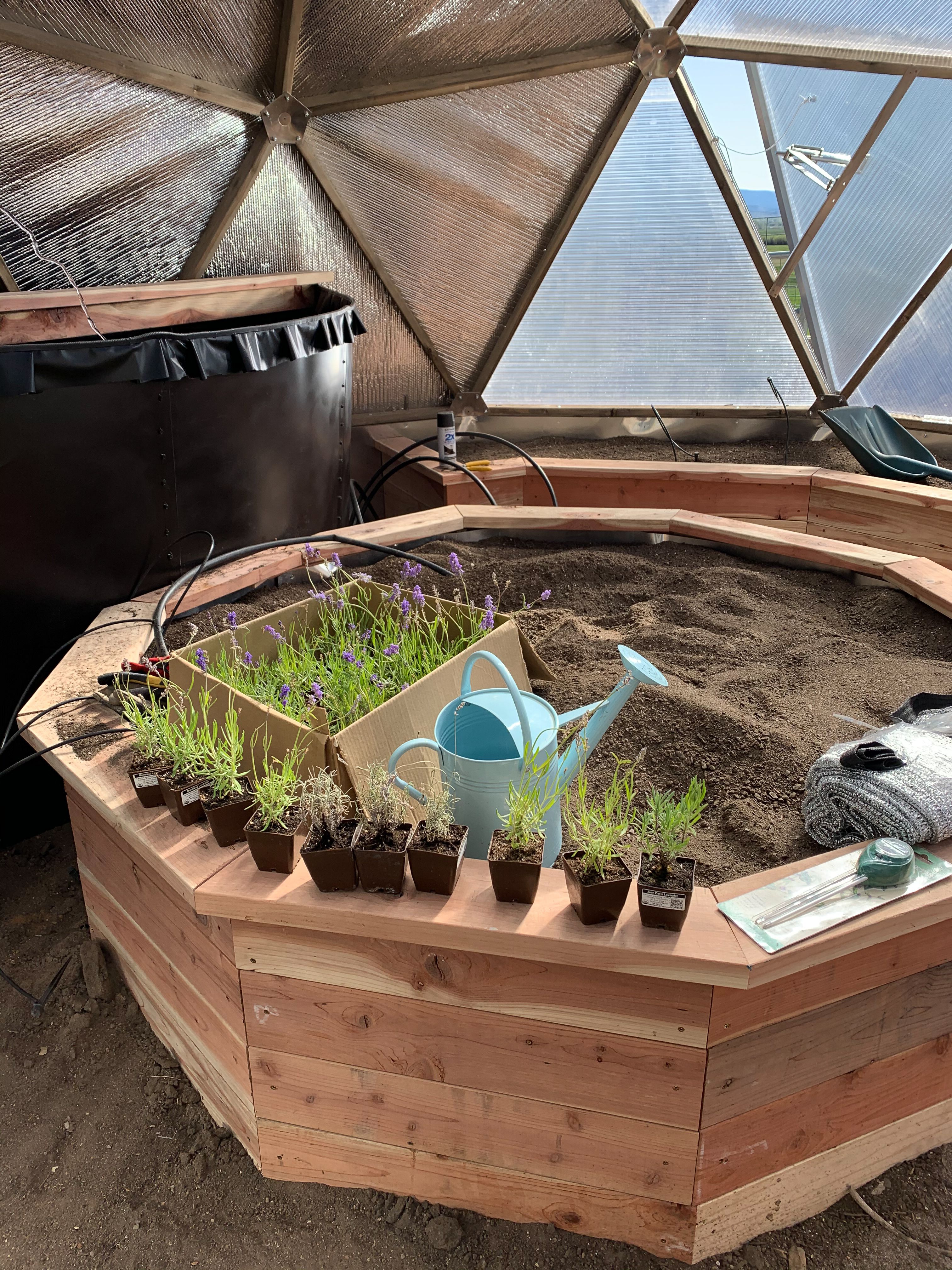 horizontal wood octagaonal raised bed in front of the above-ground pond inside of the greenhouse