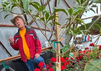 Bill giving a tour of his Growing Dome. There are bright red geraniums in the foreground and you can see tropical plants like bananas growing in raised beds in the background