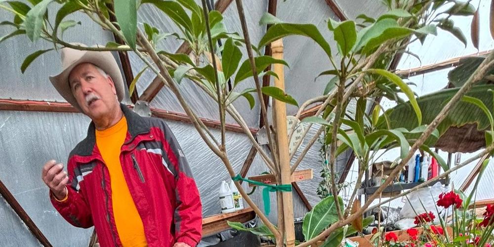 Bill giving a tour of his Growing Dome. There are bright red geraniums in the foreground and you can see tropical plants like bananas growing in raised beds in the background