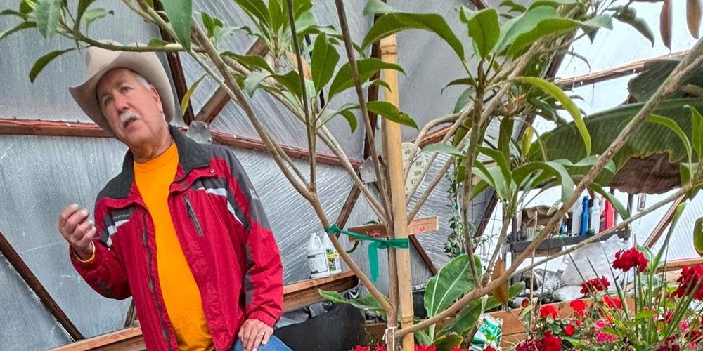 Bill giving a tour of his Growing Dome. There are bright red geraniums in the foreground and you can see tropical plants like bananas growing in raised beds in the background