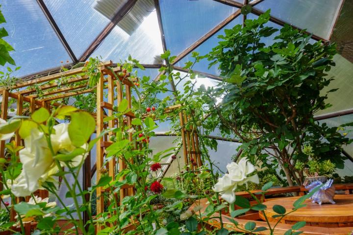 Greenhouse trellis