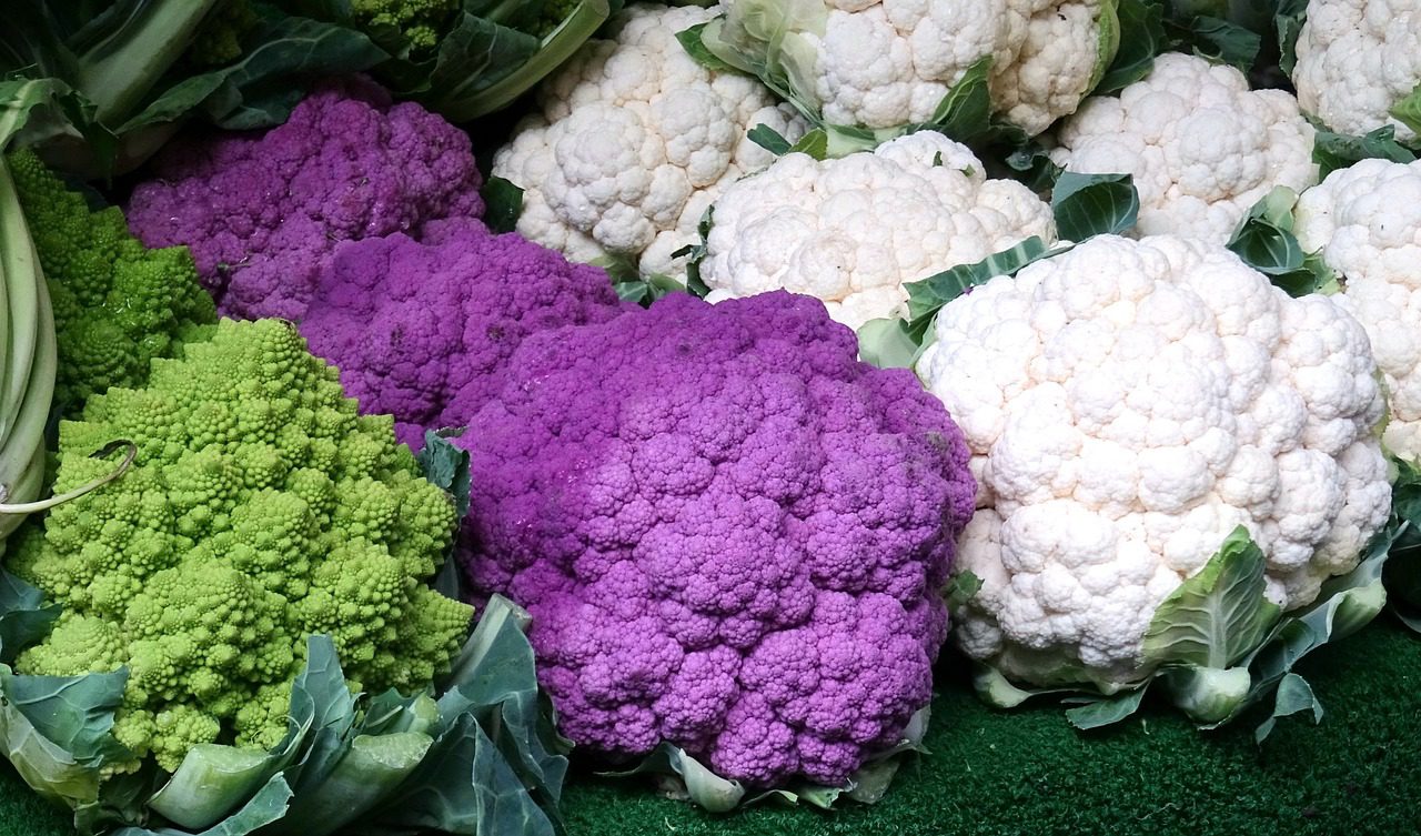 growing brassicas Pixaby photo