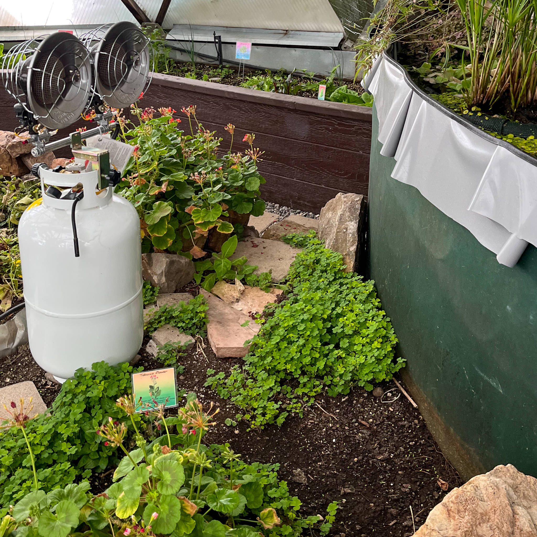 Propane heater aimed at the above ground pond to keep the greenhouse warm