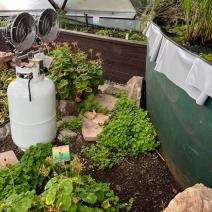 Propane heater aimed at the above ground pond to keep the greenhouse warm