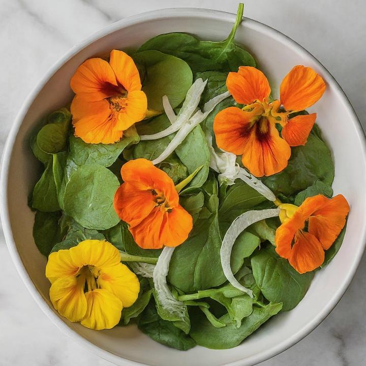 nasturtium salad