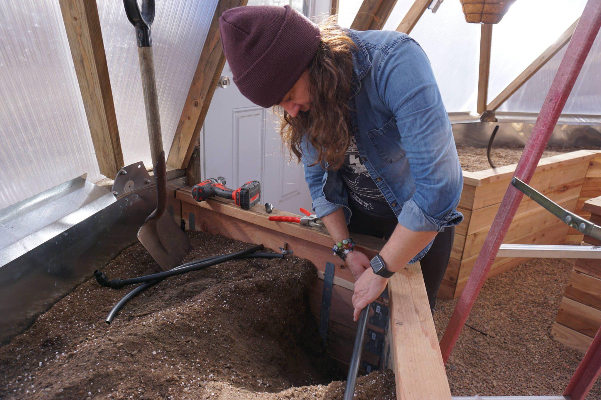 Woman installing the main line tubing for an Automated Greenhouse Irrigation System