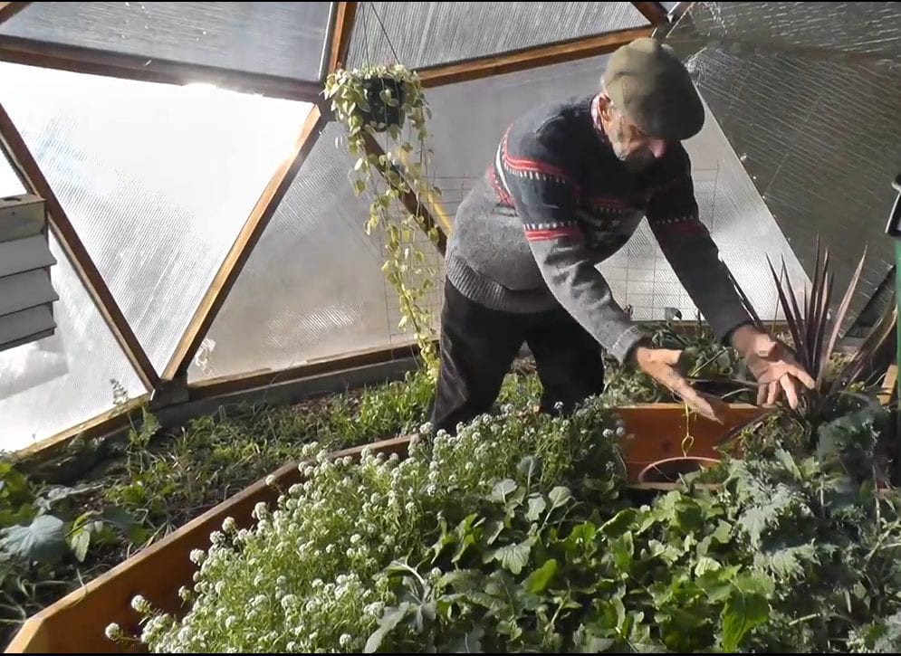 26′ Growing Dome Yields Produce in February! image