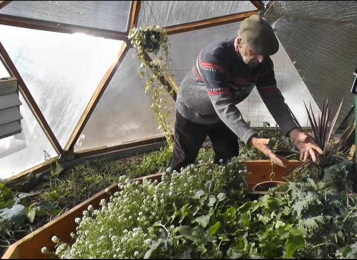 Udgar Parsons Growing Dome garden is filled with frost-hardy plants. He doesn't use any heat in this greenhouse.