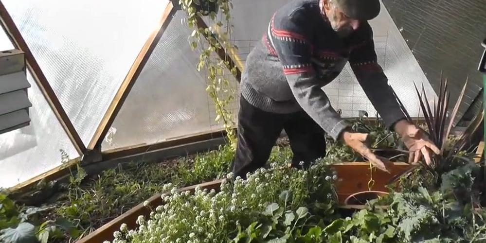 26′ Growing Dome Yields Produce in February! image