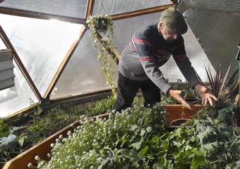 26′ Growing Dome Yields Produce in February! image