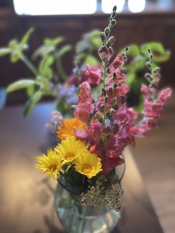 Freshly cut bouquet