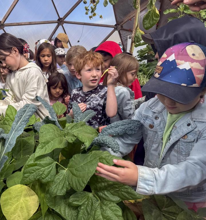 Group of students harvesting beans in a Growing Dome. Young man in center proudly holding his bean seeking approval from the teacher.