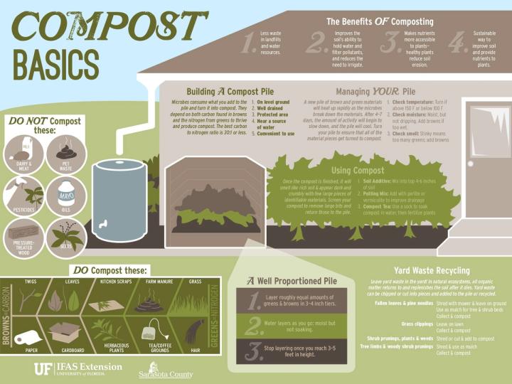composting basics infographic what you can and can't compost, how to build and manage compost pile