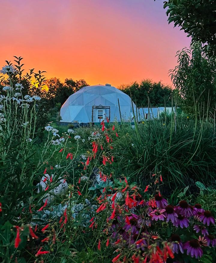 first place photo contest winner Growing Dome with sunset and wildflowers