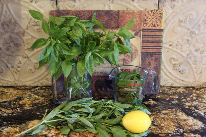 fragrant freshly harvested basil bouquets - growing & harvesting basil