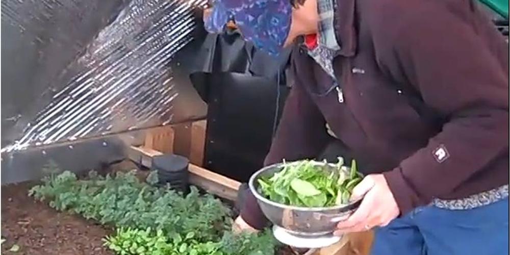 Enter to Win: Owner Video Contest image