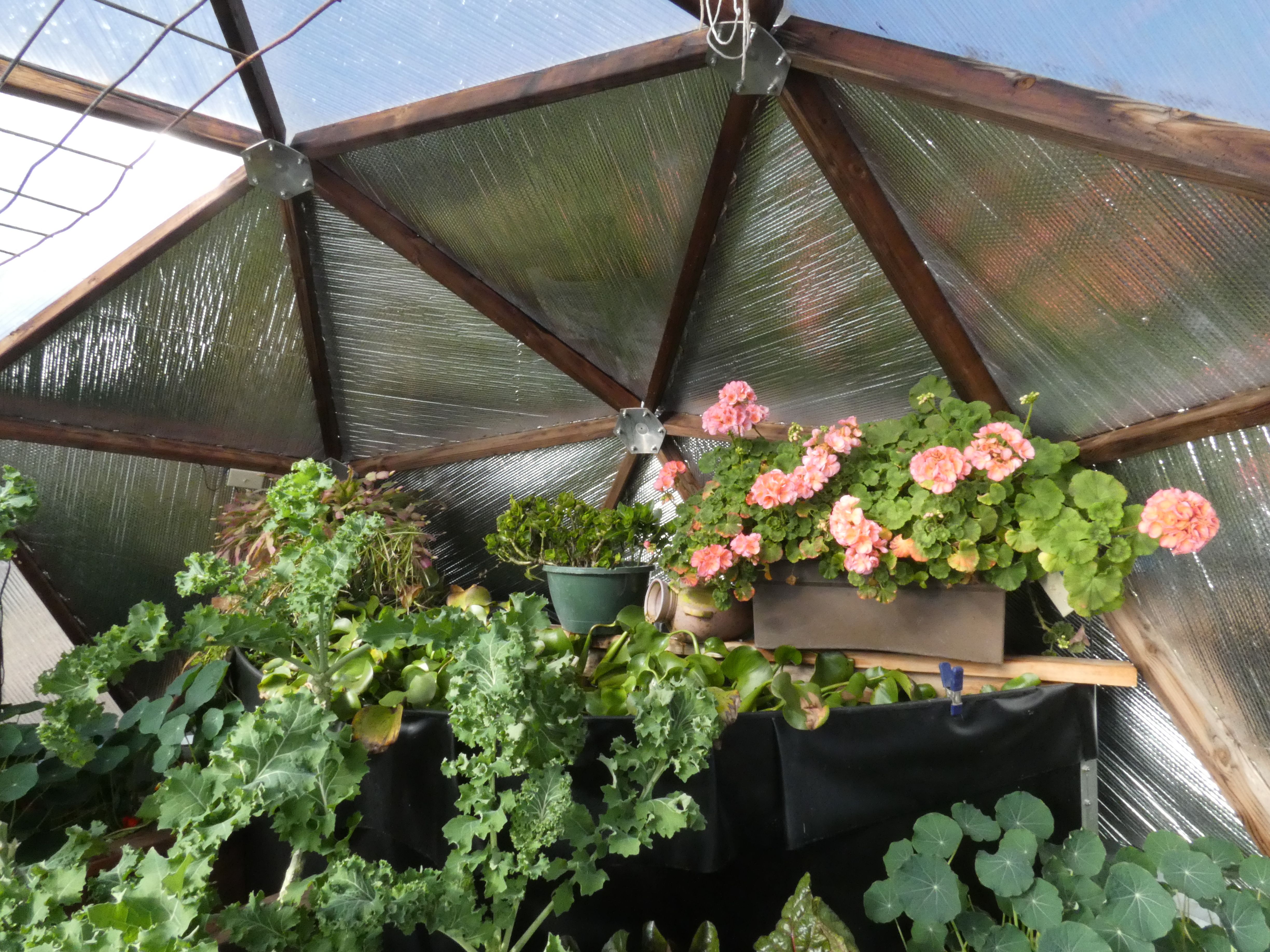 Interior of a dome greenhouse with reflective north wall insulation