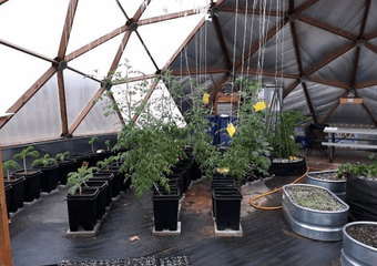 STEM Intern Helps Us Grow image