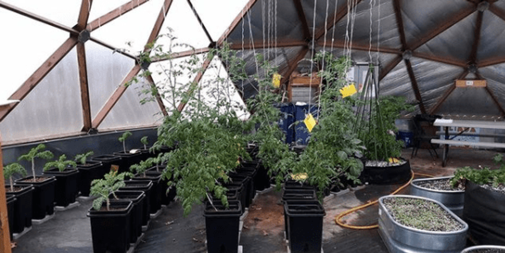 STEM Intern Helps Us Grow image