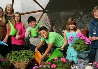 CW-Greenhouse_t670_blog