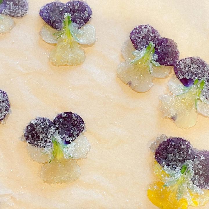 Sugared violets drying on wax paper