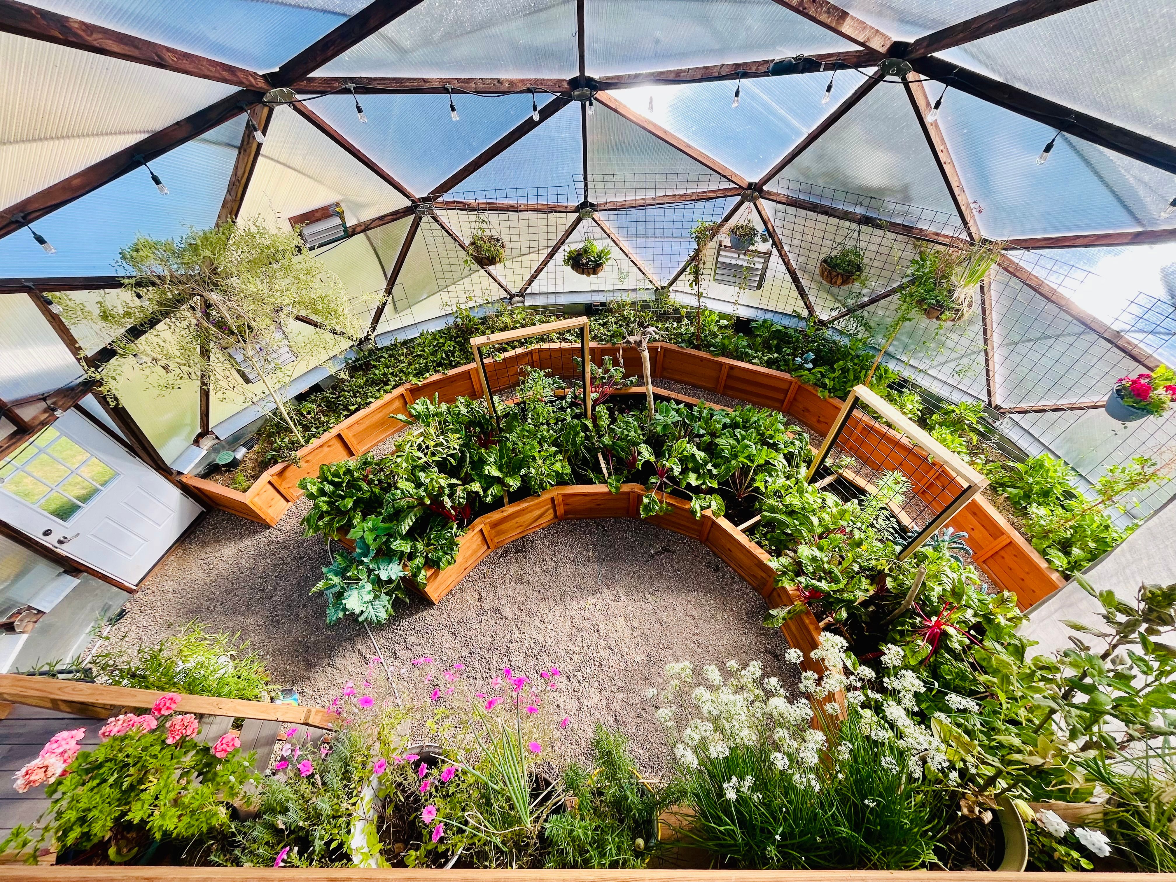 Backyard Boxes cedar garden beds in a Growing Dome greenhouse planted with various vegetables