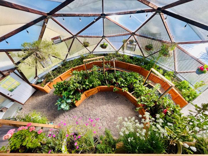 Backyard Boxes cedar garden beds in a Growing Dome greenhouse planted with various vegetables