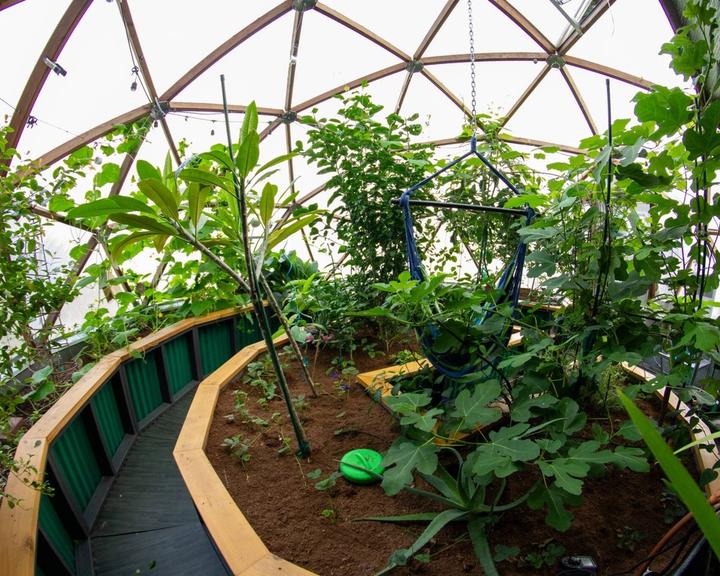 interior of a 22' Growing Dome greenhouse with vibrant greenery and a central hammock chair