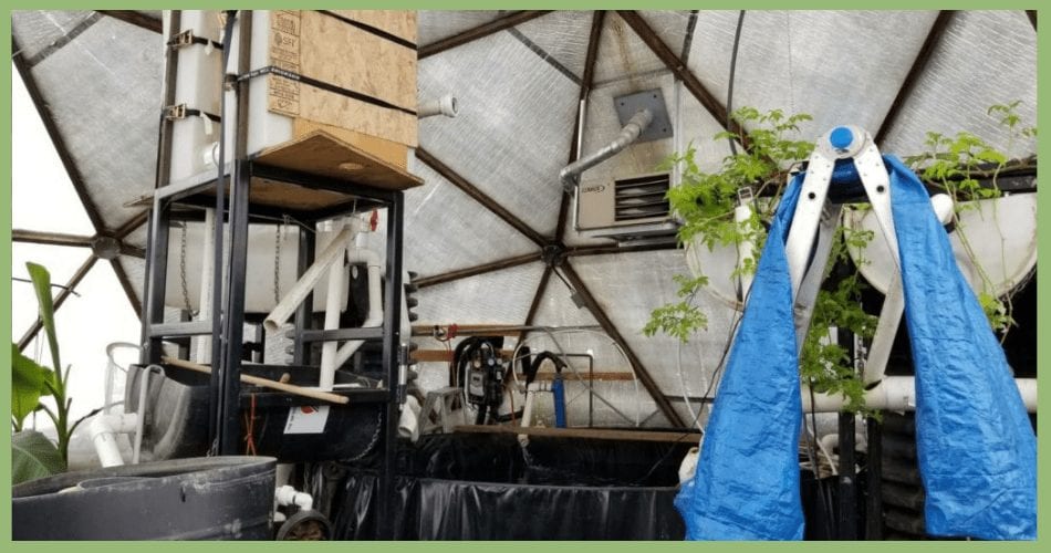 reusing the water from their tank to water the plants in their growing dome greenhouse