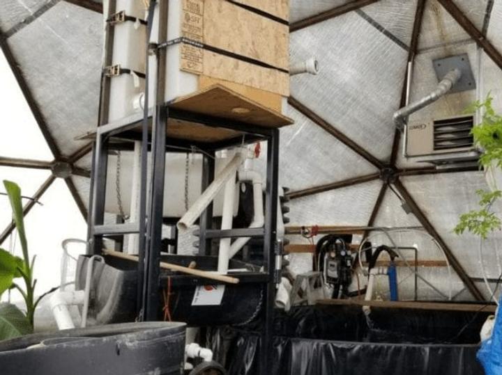 reusing the water from their tank to water the plants in their growing dome greenhouse