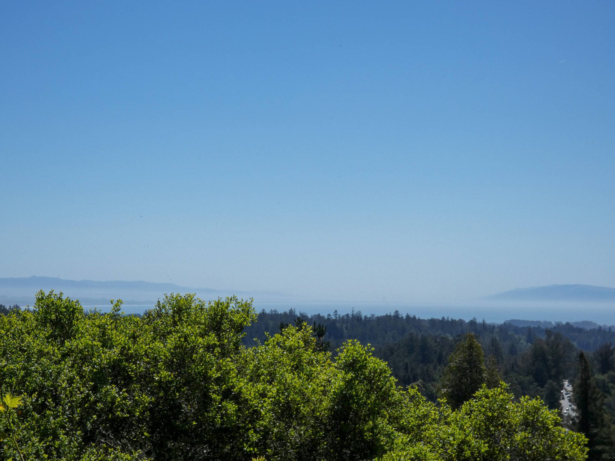 elevated view of the California Central Coastal range