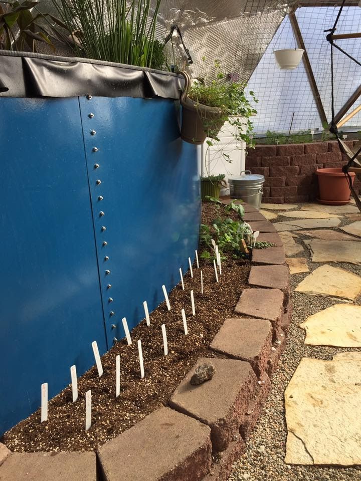 short paver lined bed in front of a blue above-ground pond with flagstone and gravel pathway