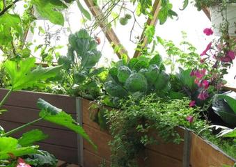 Visioning the Balance image