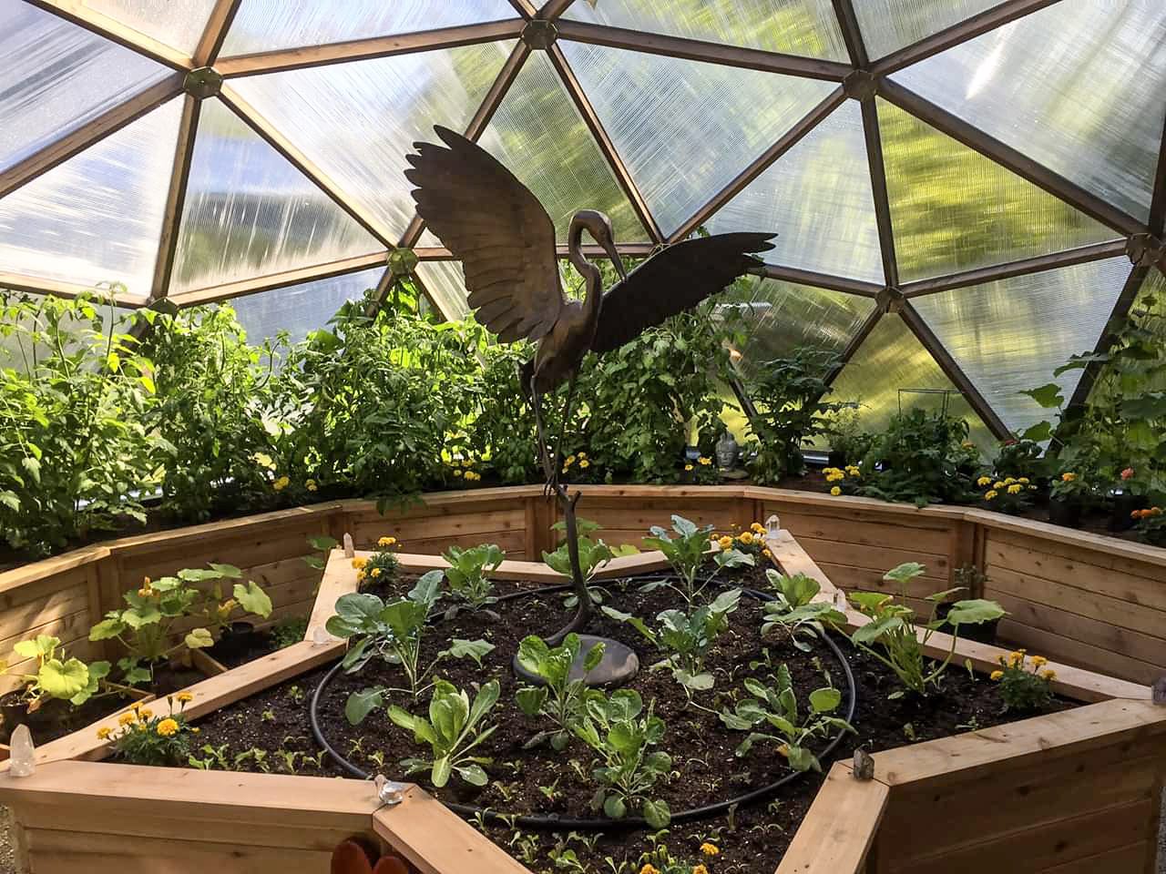 Growing Dome greenhouse with a Texas star center raised bed