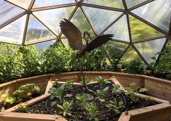 sun shining through polycarbonate panels of a growing dome greenhouse with a large crane sculpture in the middle bed
