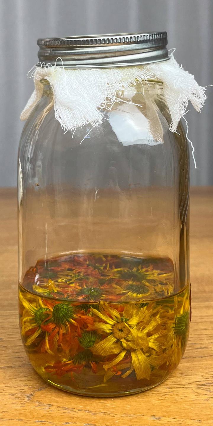 calendula flowers in oil