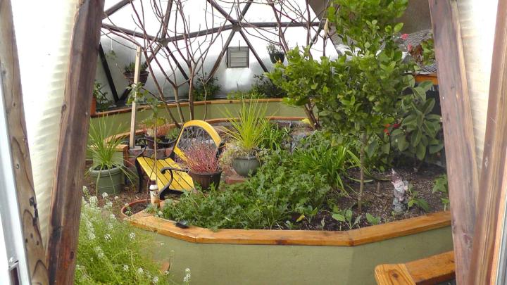 a winter garden in a greenhouse in 2017