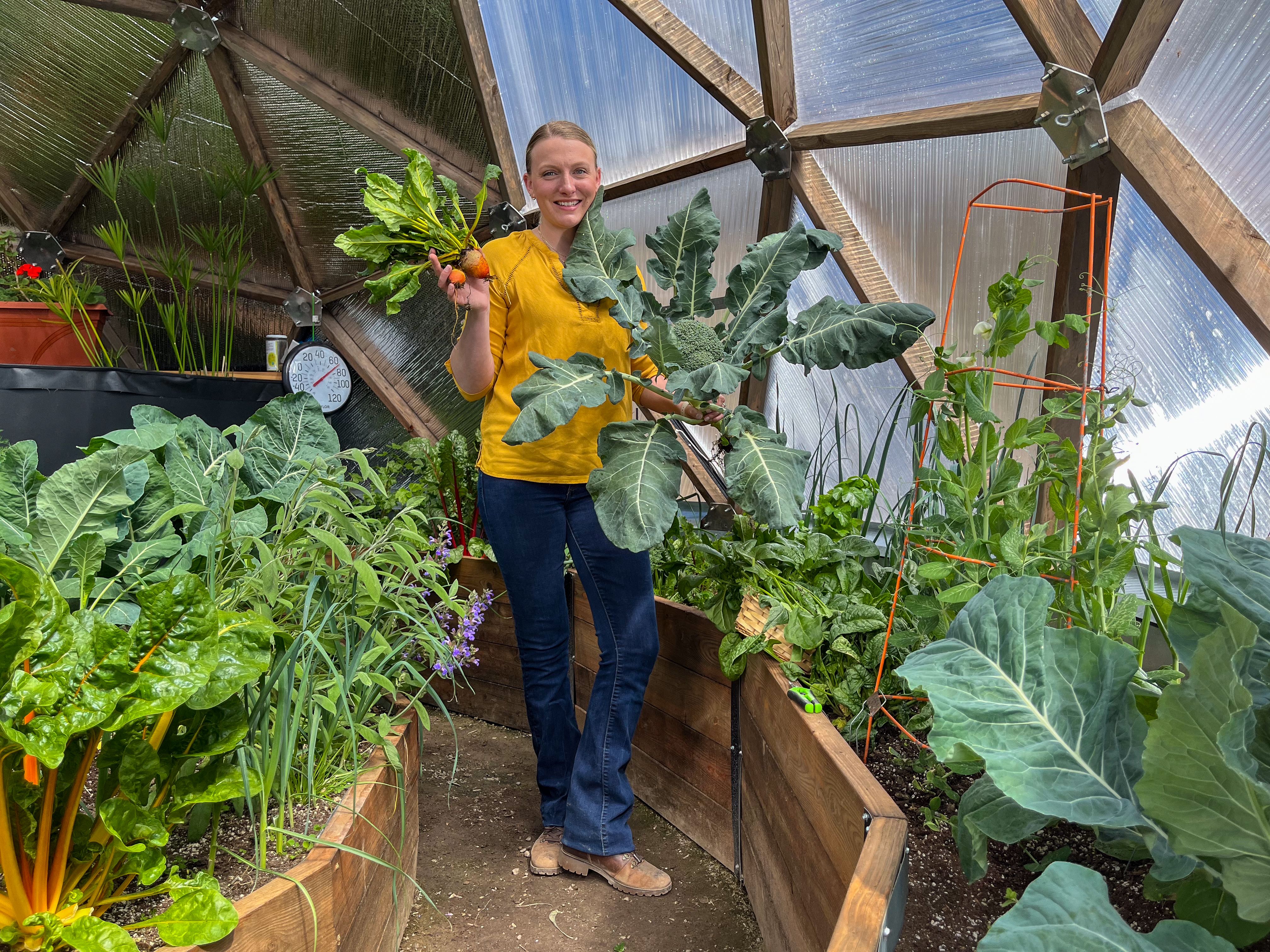 Year-Round gardener holding up a broccoli and two yellow beets surrounded by plants growing in raised garden beds in a geodesic greenhouse